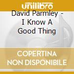 David Parmley - I Know A Good Thing