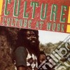 Culture - Culture At Work cd