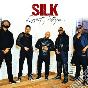 Silk - Quiet Storm cd musicale di Silk