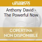 Anthony David - The Powerful Now cd musicale di Anthony David