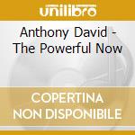Anthony David - The Powerful Now cd