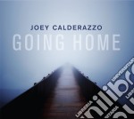 Joey Calderazzo - Going Home