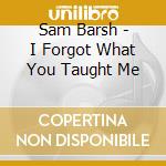 Sam Barsh - I Forgot What You Taught Me cd