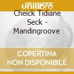 Cheick Tidiane Seck - Mandingroove cd