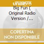 Big Fun ( Original Radio Version / Mellowman Extended / Rude Club Vox Mix / Mellowmen Dub / Rude Chillovt Mix ) / Great Funk cd