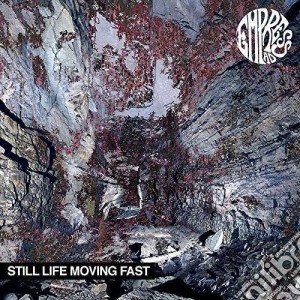 Empress Ad - Still Life Moving Fast cd musicale di Ad Empress