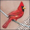 Alexisonfire - Old Crowns / Young Cardinals cd