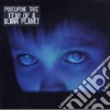 Porcupine Tree - Fear Of A Blank Planet cd musicale di Tree Porcupine