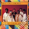 Feel something drawing me - sweet honey the rock gospel cd