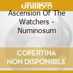 Ascension Of The Watchers - Numinosum cd musicale di Ascension Of The Watchers