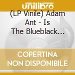 (LP Vinile) Adam Ant - Is The Blueblack Hussar Marrying (2 Lp) lp vinile di Adam Ant