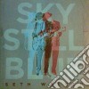 (LP Vinile) Seth Walker - Sky Still Blue cd