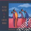 Peter Kater / R. Carlos Nakai - Honourable Sky cd