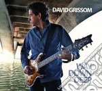 David Grissom - Way Down Deep cd
