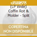 (LP Vinile) Coffin Rot & Molder - Split