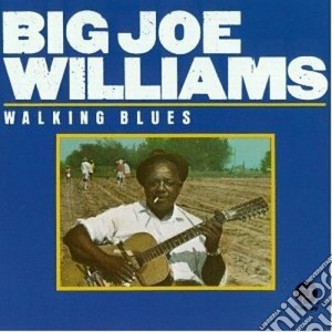 Big Joe Williams - Walking Blues cd musicale di Williams big joe