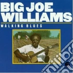 Big Joe Williams - Walking Blues cd