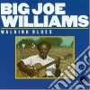 Big Joe Williams - Walking Blues cd