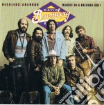 David Bromberg - Reckless Abandon / Bandit In A Bathing Suit