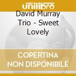 David Murray Trio - Sweet Lovely cd musicale di David murray trio