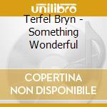 Terfel Bryn - Something Wonderful cd