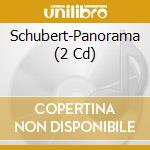 Schubert-Panorama (2 Cd) cd musicale di Bohm