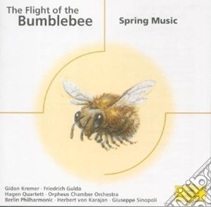 Flight Of The Bumblebee - Brani Virtuosistici cd musicale di ARTISTI VARI