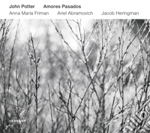 John Potter - Amores Pasados cd musicale di John Potter