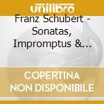 Franz Schubert - Sonatas, Impromptus & Moments Musicaux (2 Cd) cd