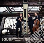Franz Schubert - Piano Trio D 898, Adagio D 897