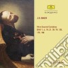 Johann Sebastian Bach - Nine Sacred Cantatas (3 Cd) cd