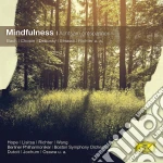 Mindfulness: Achtsam Entspannen cd