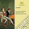 Franz Schubert - Impromptus / Klavierstucke / Moments (2 Cd) cd