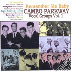 Cameo Parkway Vocal Groups Vol.1 / Various cd musicale di V.A. CAMEO PARKWAY V
