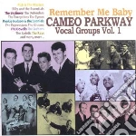 Cameo Parkway Vocal Groups Vol.1 / Various cd