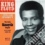 King Floyd - I Feel Like Dynamite: The Early Chimneyville Singles And More 1970-74
