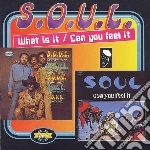S.o.u.l. - What Is It? / Can You Feel It? cd