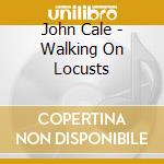 John Cale - Walking On Locusts cd