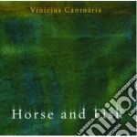 Vinicius Cantuaria - Horse And Fish cd