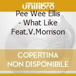 Pee Wee Ellis - What Like Feat.V.Morrison