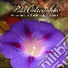 Peter Ostroushko - When The Last Morning Glory Blooms cd