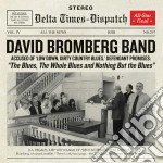 David Bromberg Band - The Blues, The Whole Blues And Nothing But The Blues