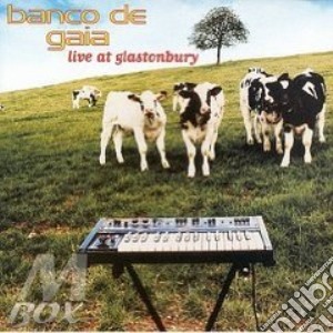 Live at glastonbury cd musicale di Banco de gaia