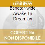 Benatar-wide Awake In Dreamlan cd
