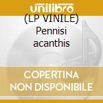 (LP VINILE) Pennisi acanthis cd