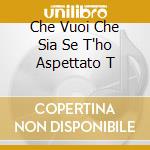 Che Vuoi Che Sia Se T'ho Aspettato T cd