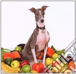 Shellac - Excellent Italian Greyhound cd