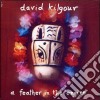 David Kilgour - A Feather In The Engine cd musicale di David Kilgour