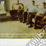 Chicago Underground Trio - Possible Cube