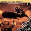 Arthur Big Boy Crudup - Look On Yonder's Wall cd